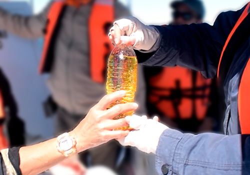 GPO - De esta forma, se busca que la investigación de la remediación se desarrolle en las aulas. Es decir, la conozcan y manejen los maestros y los estudiantes de estas escuelas, para que así ellos se conviertan en agentes de cambio, sanación y sean guardianes de la Bahía de Ohuira. GPO - De esta forma, se busca que la investigación de la remediación se desarrolle en las aulas. Es decir, la conozcan y manejen los maestros y los estudiantes de estas escuelas, para que así ellos se conviertan en agentes de cambio, sanación y sean guardianes de la Bahía de Ohuira.