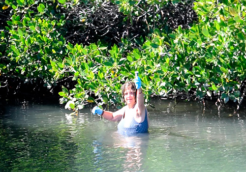 GPO - Este programa integra técnicas innovadoras que consisten en la generación de consorcios microbianos para combatir el desbalance físico-químico de los componentes actuales. GPO - Este programa integra técnicas innovadoras que consisten en la generación de consorcios microbianos para combatir el desbalance físico-químico de los componentes actuales.